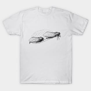 Cicadas Ink Drawing T-Shirt